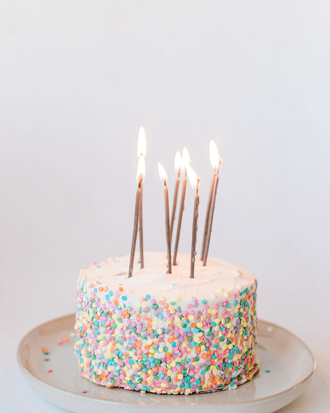 Rainbow Sprinkle Fruit Cake (600 Gram)